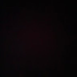 Meet your Posher, Milo